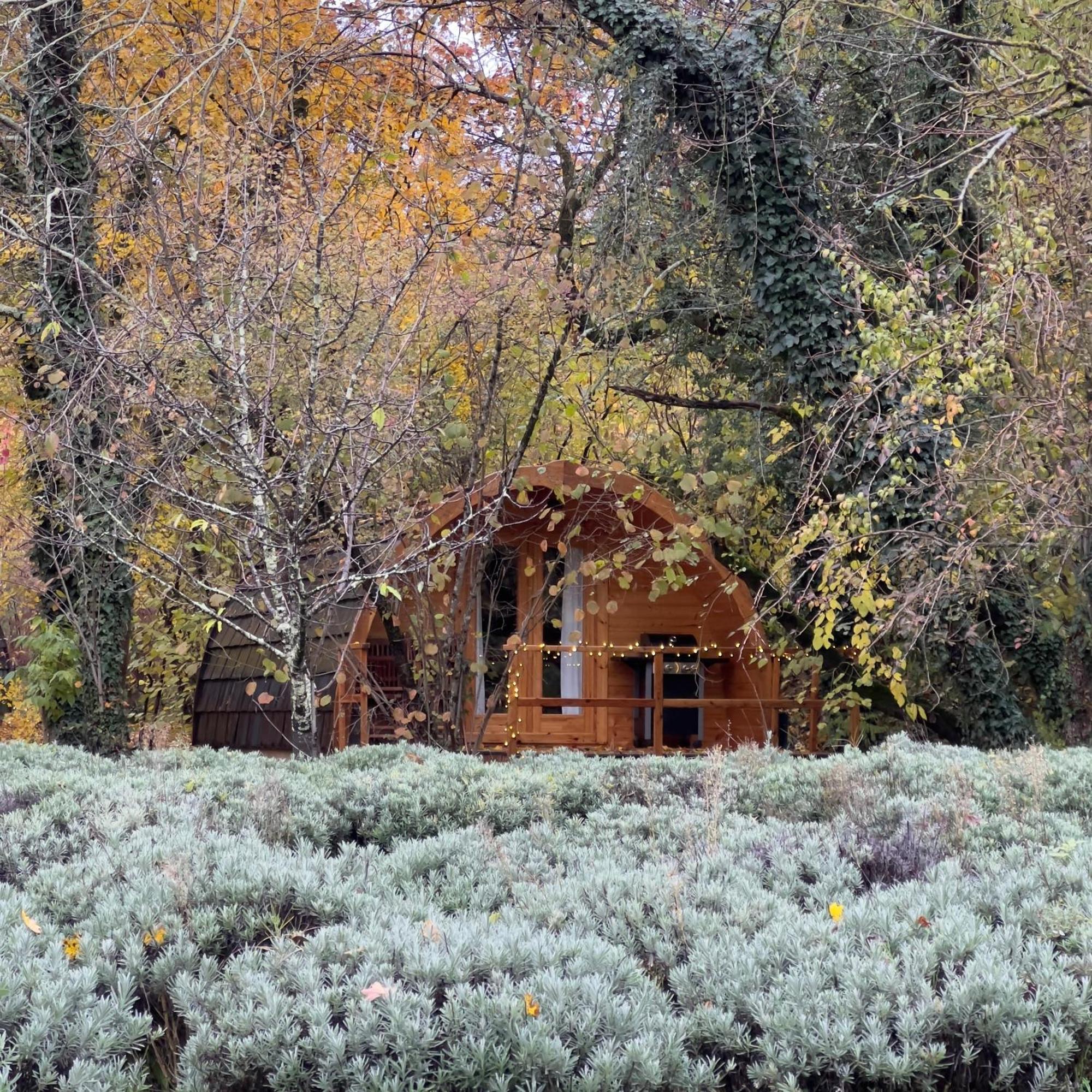 Glamping Dragonja River Smarje  Exterior photo